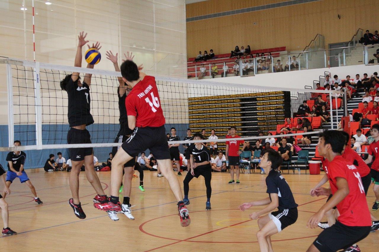 Volleyball1