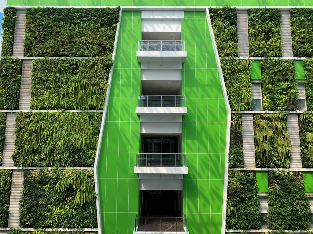 CC Green Wall