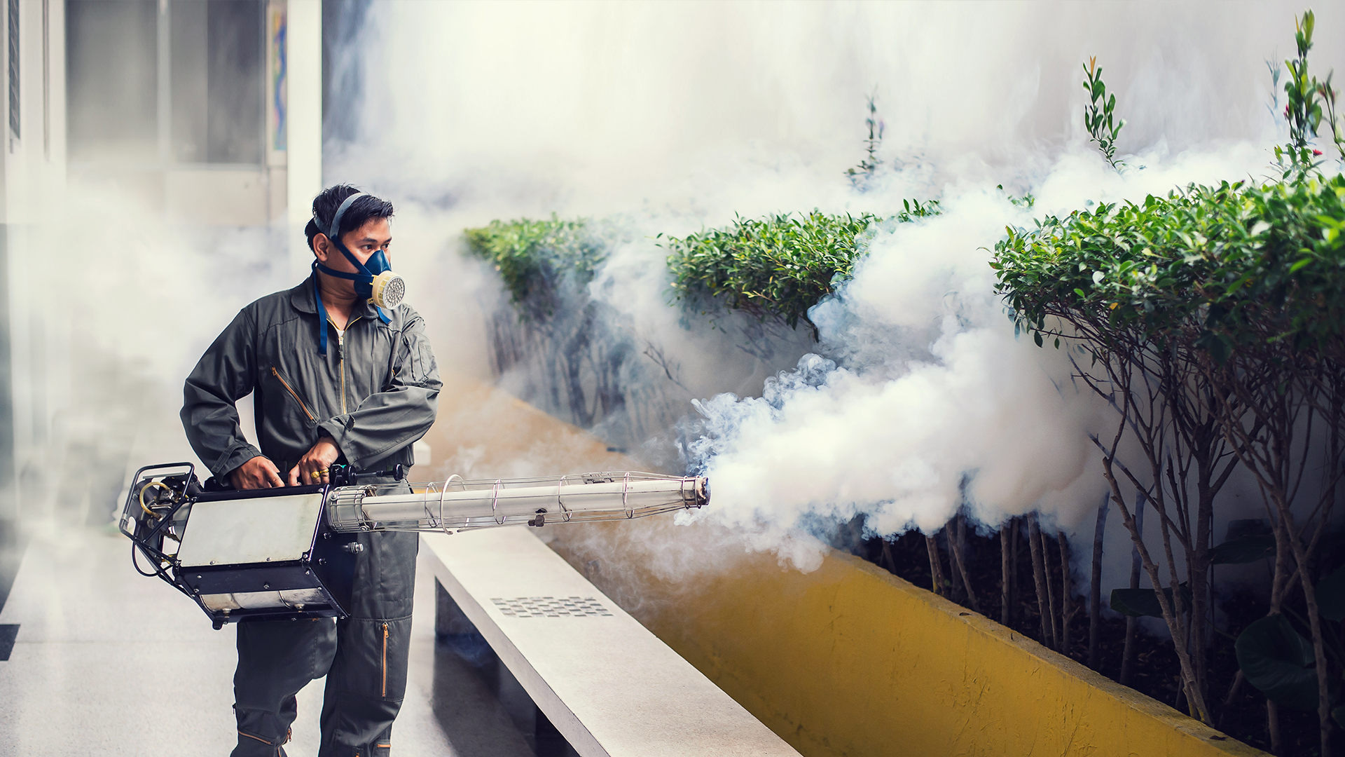 Banner Joint Industry Certificate Fogging