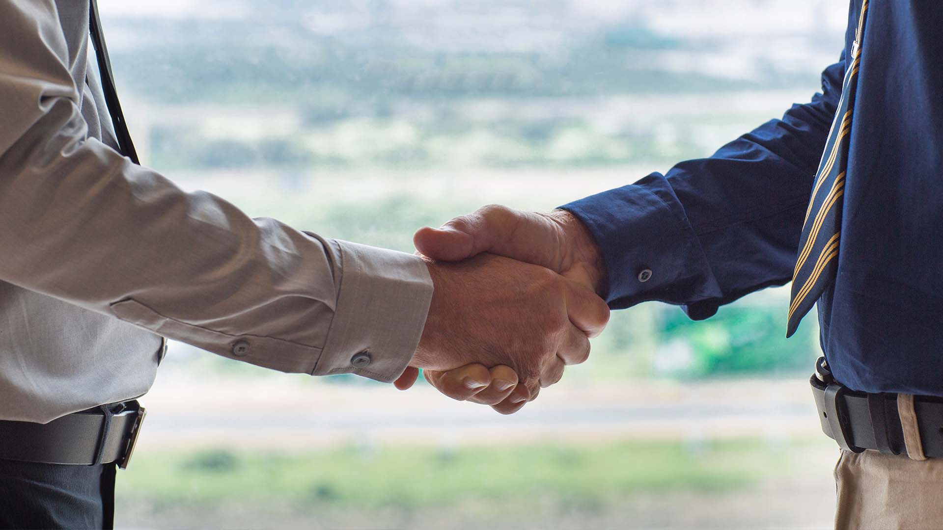 Two People Shaking Hands