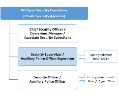 DPSSO(Private)_Progression Opportunities