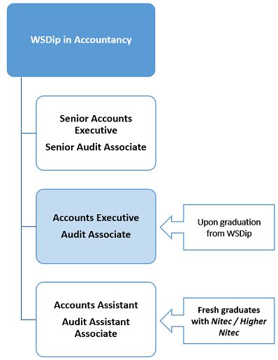 Accountancy Diploma
